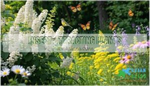 insect-attracting plants insect-attracting plants