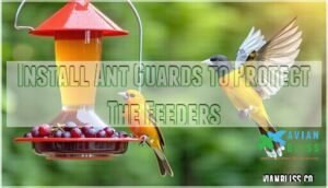 install ant guards to protect the feeders