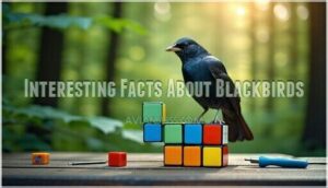 interesting facts about blackbirds