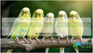 interesting facts about budgie lifespan