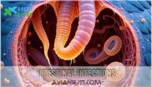 intestinal infections intestinal infections