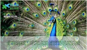 iridescent blue and green plumage