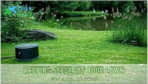 keeping geese off your lawn