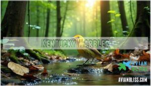 kentucky warbler