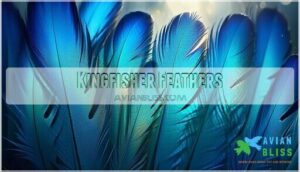 kingfisher feathers