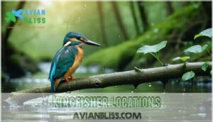 kingfisher locations