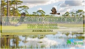 kite birds in florida