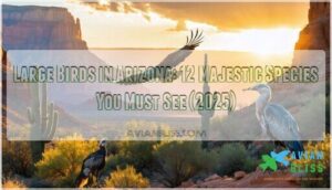 large birds in arizona