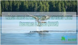 large birds in michigan