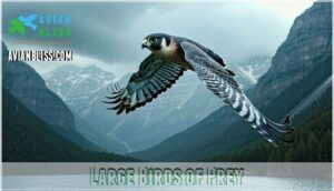 large birds of prey