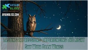 lasting impressions: experiencing the night sky with dark wings