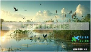 laws and regulations laws and regulations