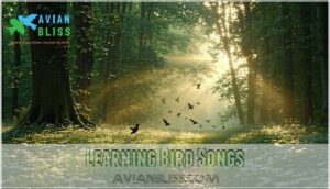 learning bird songs