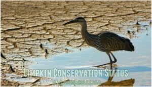 limpkin conservation status