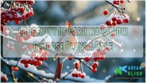 longevity of cardinals: how glucose plays a role