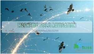 magnetic field navigation