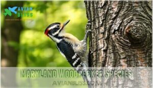 maryland woodpecker species