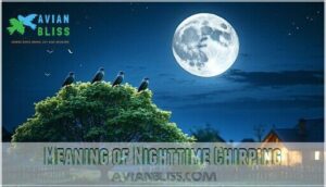 meaning of nighttime chirping meaning of nighttime chirping