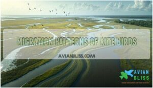migration patterns of kite birds
