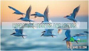 migration records and speeds migration records and speeds
