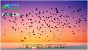 migration strategies
