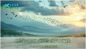 migration types explained migration types explained