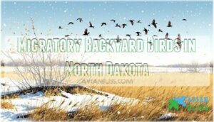 migratory backyard birds in north dakota