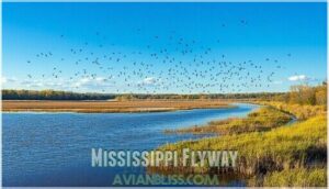 mississippi flyway