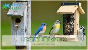 missouri bird species