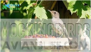 mockingbirds