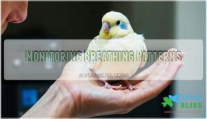 monitoring breathing patterns