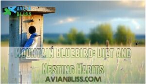 mountain bluebird: diet and nesting habits