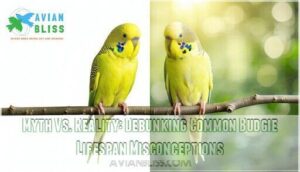 myth vs. reality: debunking common budgie lifespan misconceptions