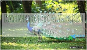 native to india and sri lanka