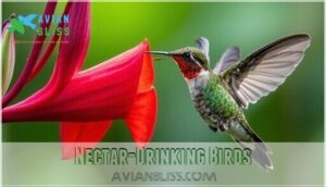 nectar-drinking birds
