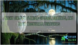 night birds in florida
