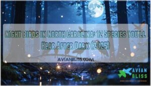 night birds in north carolina