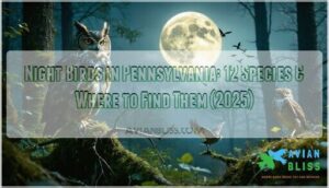 night birds in pennsylvania