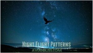 night flight patterns