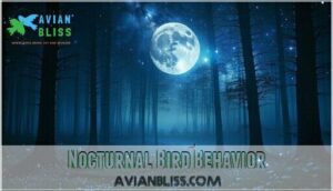 nocturnal bird behavior