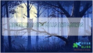 nocturnal bird calls and sounds