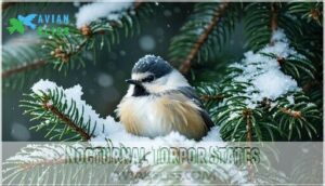 nocturnal torpor states