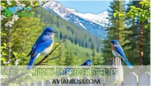 north american species