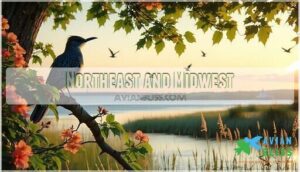 northeast and midwest