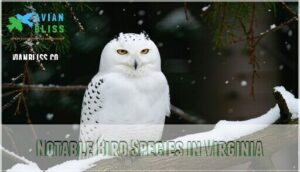 notable bird species in virginia