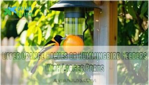 offer orange halves or hummingbird feeders with larger ports