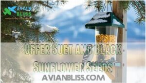 offer suet and black sunflower seeds