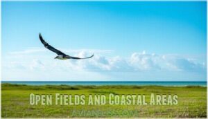 open fields and coastal areas