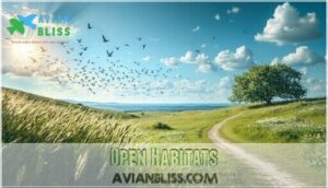 open habitats