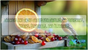 oranges and dried fruits for orioles, woodpeckers, robins, cardinals, and bluebirds